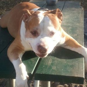 Meet your Posher, Robin